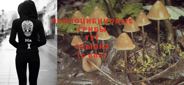 Альфа ПВП Абинск